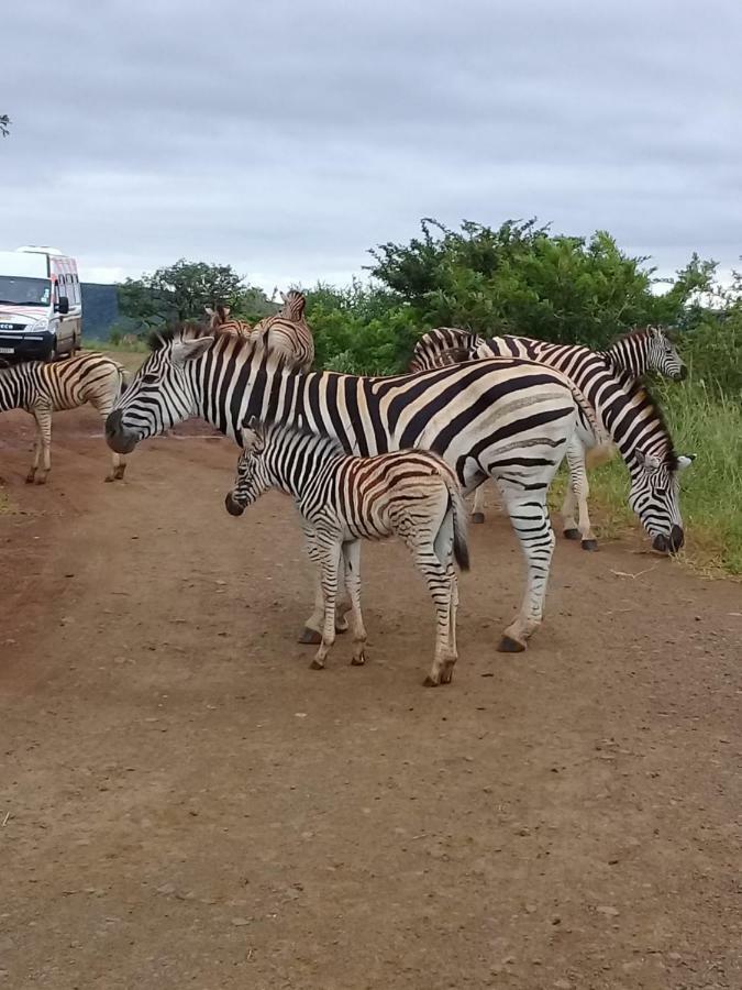 Hluhluwe Gate Safari Camp Hotel Exterior photo